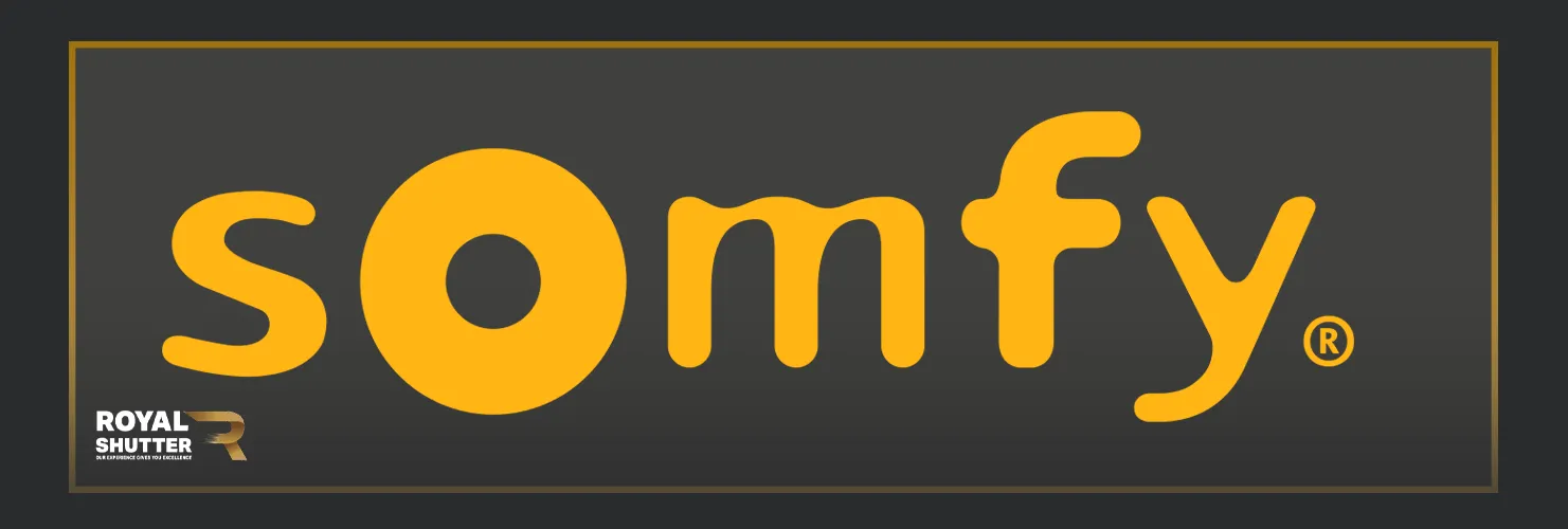 أفضل وكيل سومفي في مصر